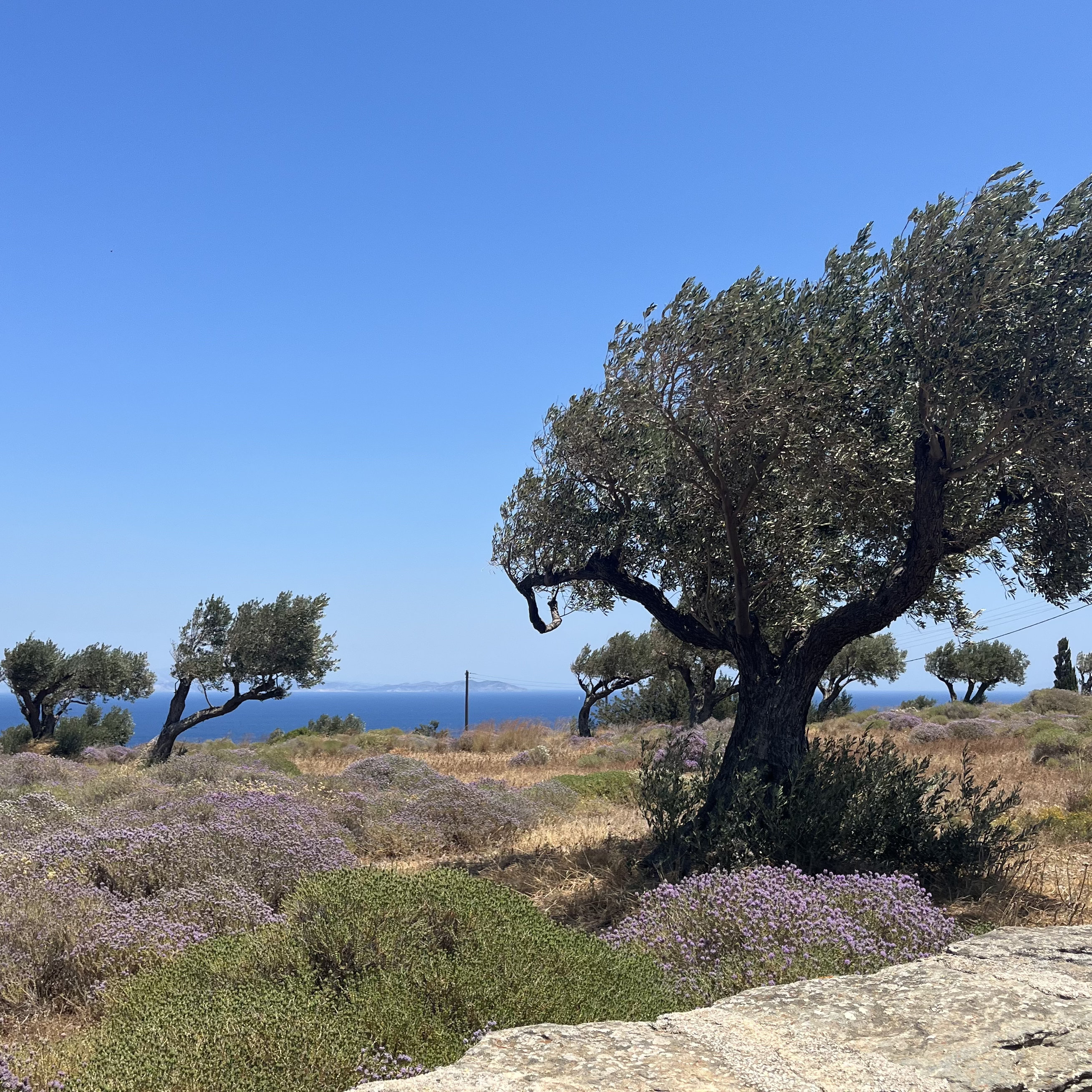 Homepage Image